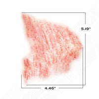 MFX-TATT-ABR102 WATERMARKED