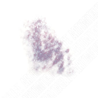 Mottled Bruise