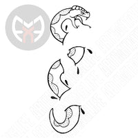 Traditional Snake In Skin