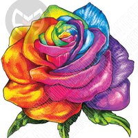 Rainbow Rose