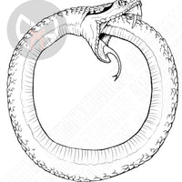 Snake Ouroboros