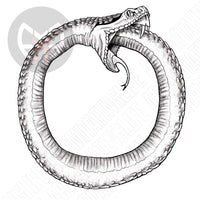 Snake Ouroboros