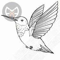 Humming Bird