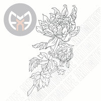 Peony