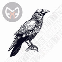 Crow