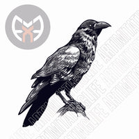 Crow