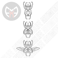 Rhino Beatle