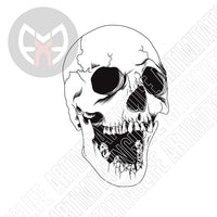 3-D Skull