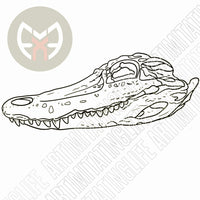 Alligator Skull