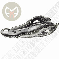 Alligator Skull