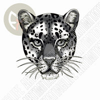 Cheetah Face