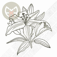Tiger Lilies
