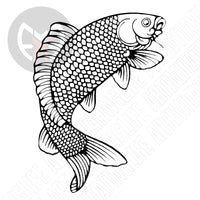 Fish Bass