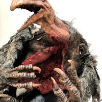 Mutant Turkey Vulture