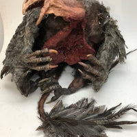 Mutant Turkey Vulture