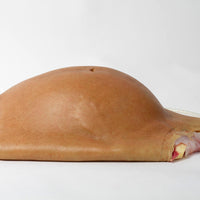 Pregnancy Belly - Early Term Silicone #15