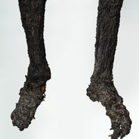 Burnt Skeleton Ash