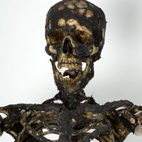 Aged Skeleton Max