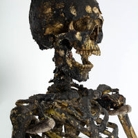 Aged Skeleton Max