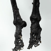 Burnt Skeleton Pat