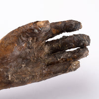 ROTTEN AND DARK (4)