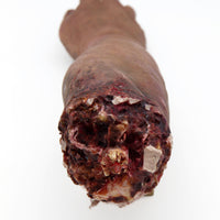 Round Tattoo Right Arm