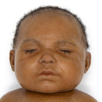 Baby Joey 6-Month-Old