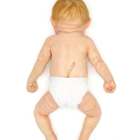Baby Ginger 6-Month-Old