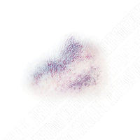 Two-Tone Bruise