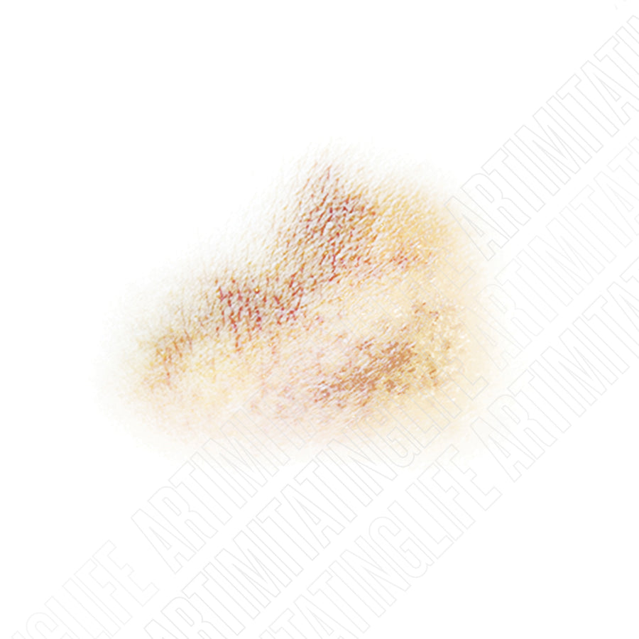 Two-Tone Bruise