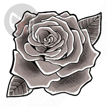 Traditional Rose