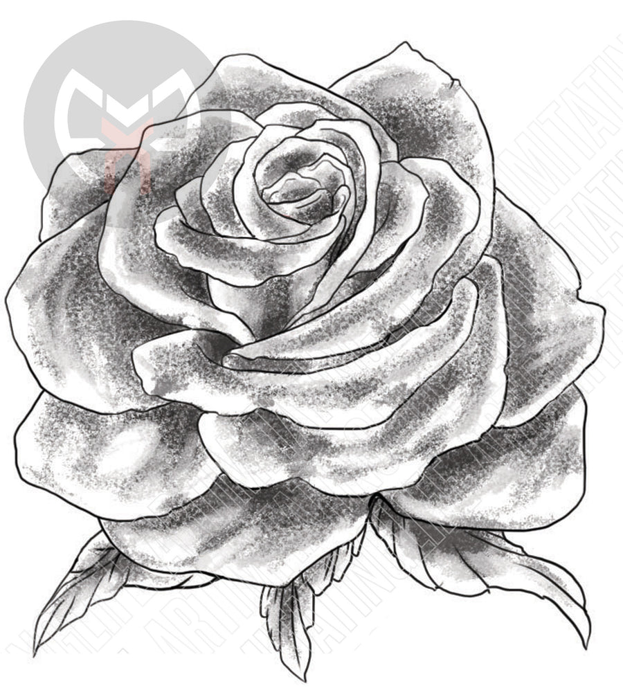 Rainbow Rose