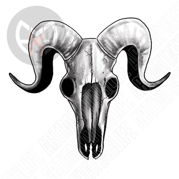 Goat Skull