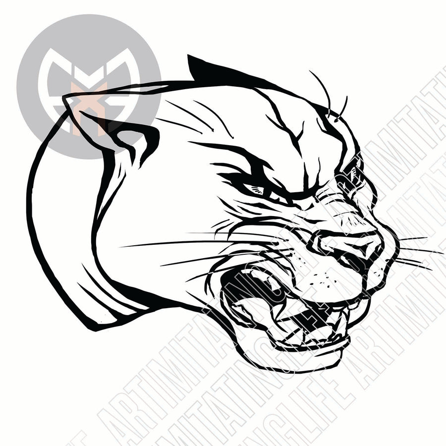 Jag Snarl