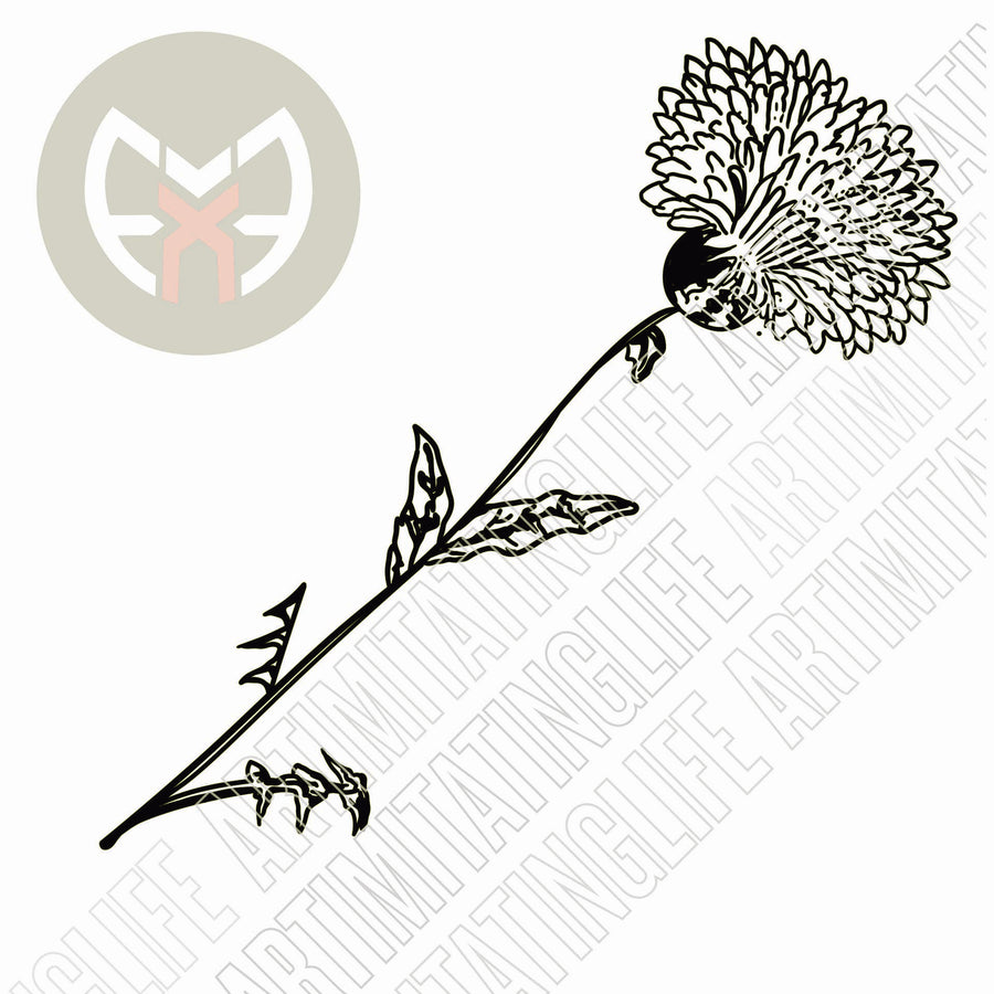 Dandelion Flower