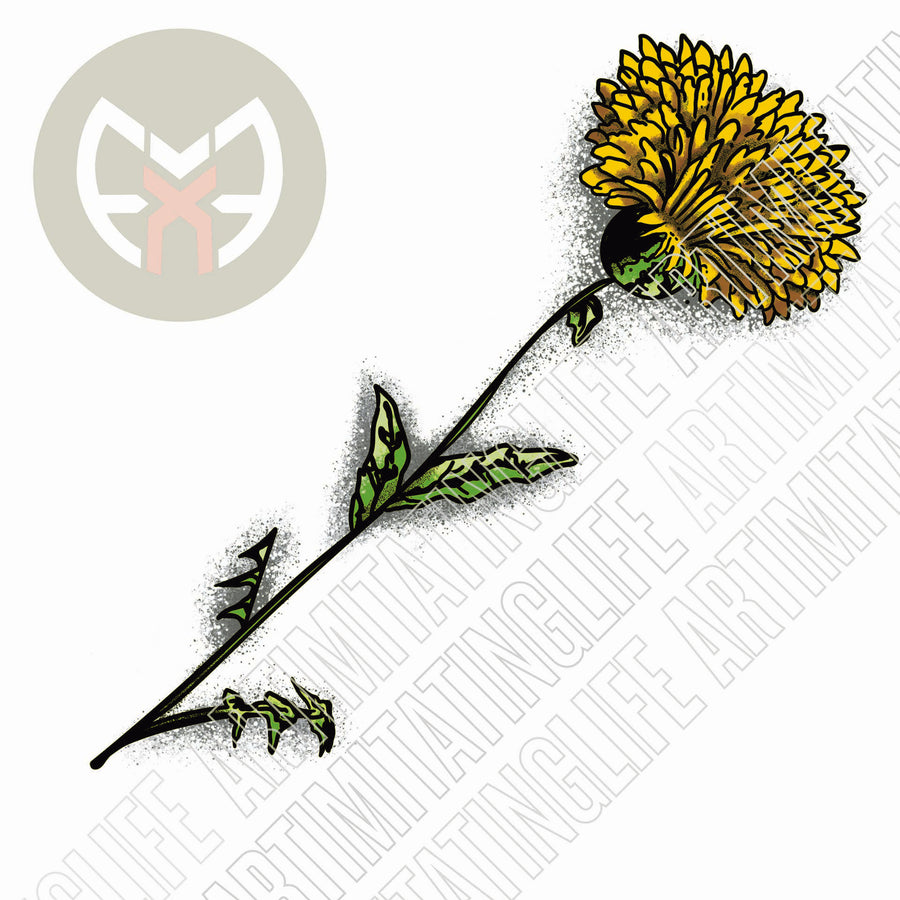 Dandelion Flower