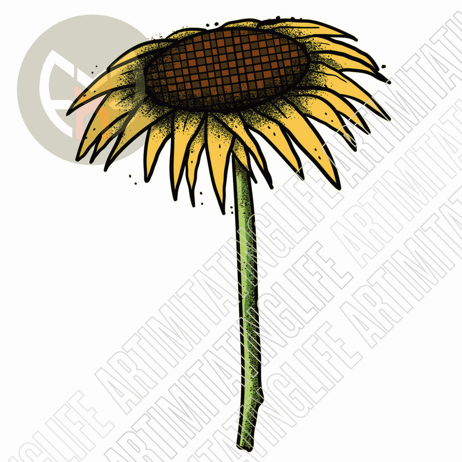 Cute Sunflower