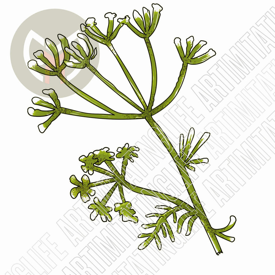 Planty