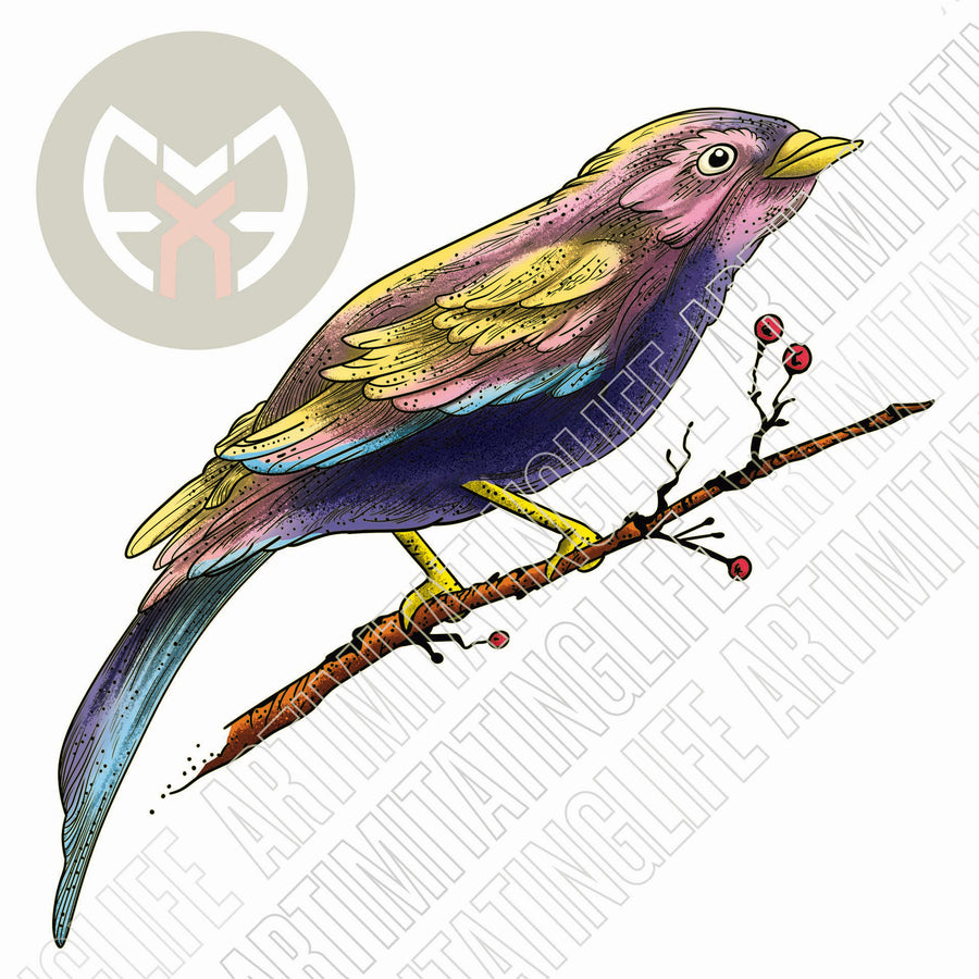 Pretty Bird