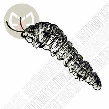 Caterpillar