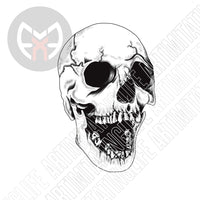 3-D Skull