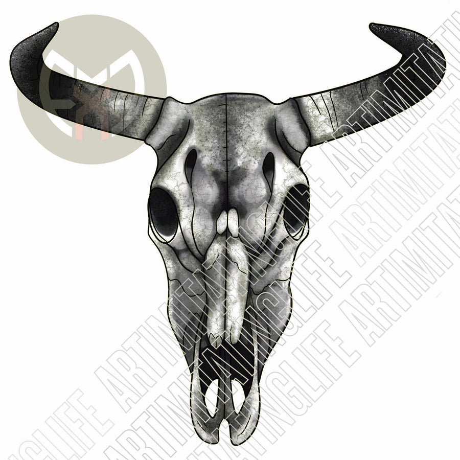 Bull Skull