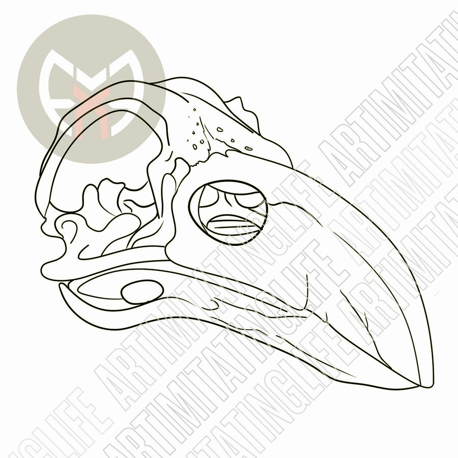Bird Skull