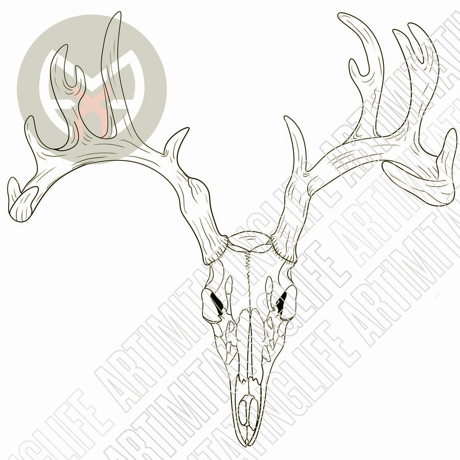 Stag Skull