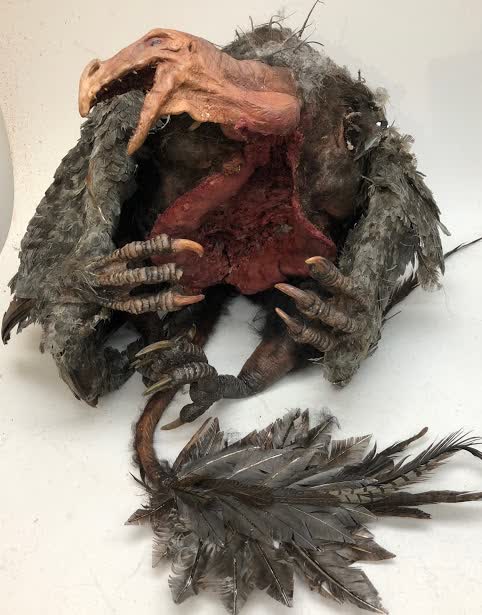Mutant Turkey Vulture
