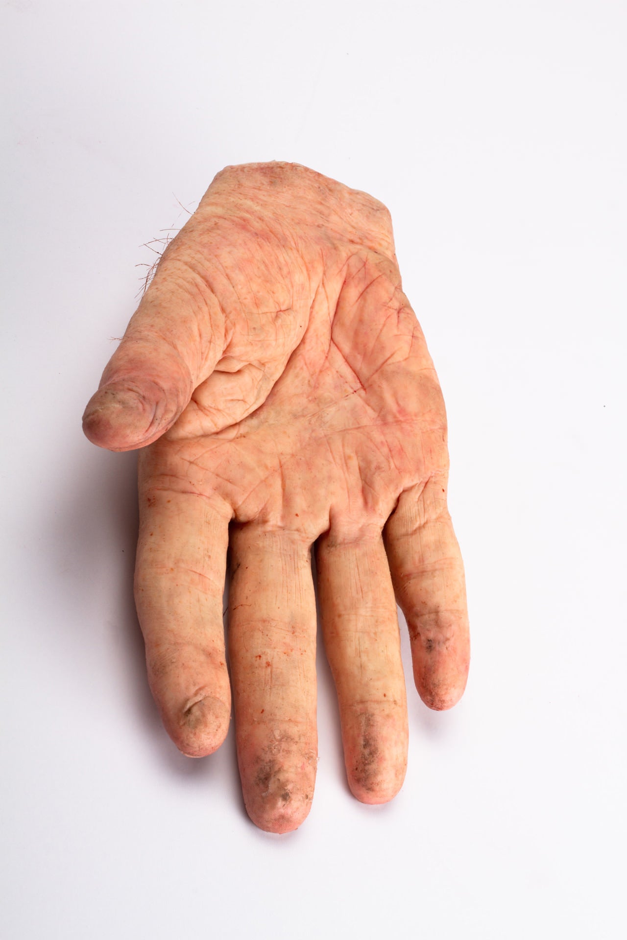 Articulated Partial Right Hand – mastersfx