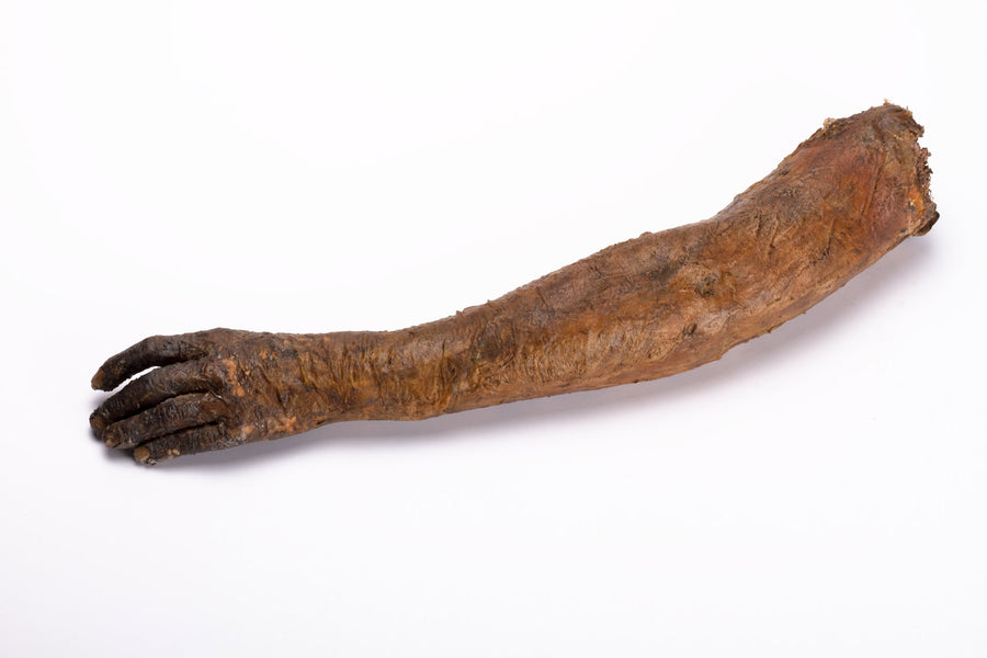 Rotten and Dark Left Arm – mastersfx
