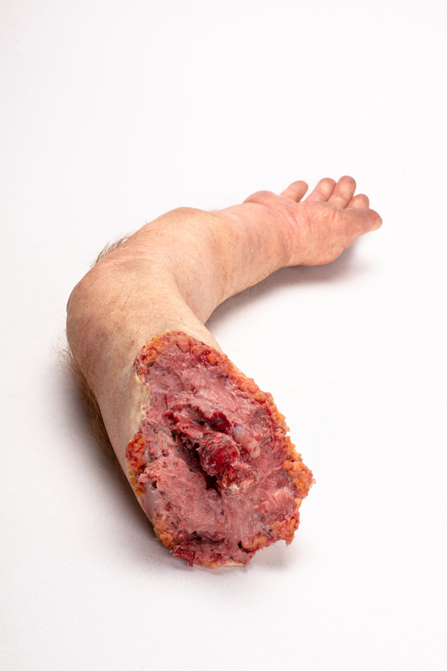 SEVERED AND BROKEN (3)